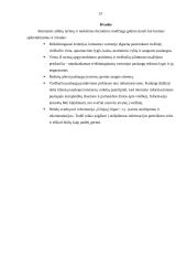 Turistų apgyvendinimo problemos Lietuvoje 13 puslapis