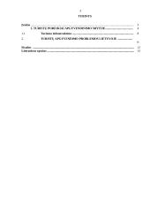 Turistų apgyvendinimo problemos Lietuvoje 3 puslapis