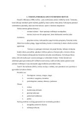 Turistų apgyvendinimo problemos Lietuvoje 5 puslapis