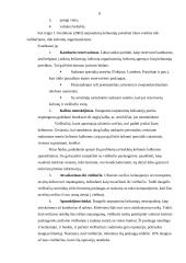 Turistų apgyvendinimo problemos Lietuvoje 6 puslapis