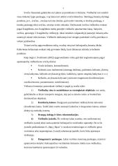 Turistų apgyvendinimo problemos Lietuvoje 7 puslapis