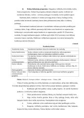 Turistų apgyvendinimo problemos Lietuvoje 8 puslapis