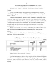 Turistų apgyvendinimo problemos Lietuvoje 10 puslapis