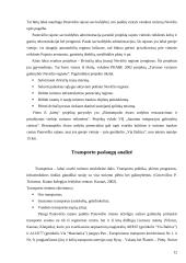 Turizmo struktūros analizė Panevėžio rajone 11 puslapis