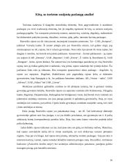 Turizmo struktūros analizė Panevėžio rajone 15 puslapis