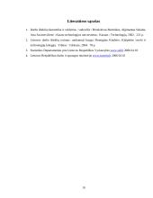 Užimtumas Lietuvoje 10 puslapis