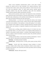 Užimtumo pokyčiai Lietuvoje atkūrus Nepriklausomybę 8 puslapis