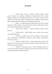 Vadyba kaip mokslo šaka 11 puslapis