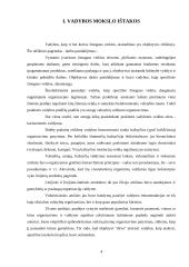 Vadyba kaip mokslo šaka 3 puslapis