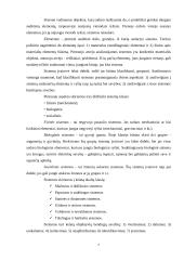 Vadyba kaip mokslo šaka 6 puslapis