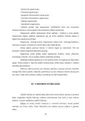 Vadyba kaip mokslo šaka 9 puslapis