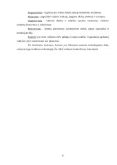 Vadyba kaip mokslo šaka 10 puslapis