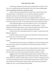 Vadyba, vadybos funkcijos 6 puslapis