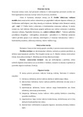 Vadovai ir personalo vadyba verslo organizacijoje dabarties iššūkių sąlygomis 12 puslapis