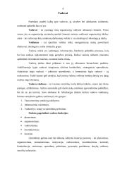 Vadovai ir personalo vadyba verslo organizacijoje dabarties iššūkių sąlygomis 4 puslapis