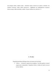 Vadovo funkcijos ir darbas 13 puslapis