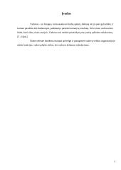 Vadovo funkcijos ir darbas 3 puslapis