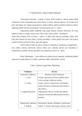 Vadovo funkcijos ir darbas 4 puslapis