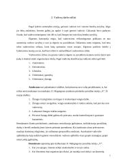 Vadovo funkcijos ir darbas 7 puslapis