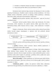 Vadovo funkcijos ir darbas 8 puslapis