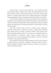 Vadovavimo teorijos 2 puslapis