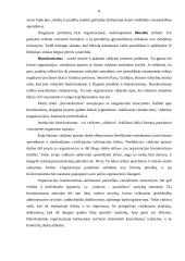 Vadovavimo teorijos 8 puslapis