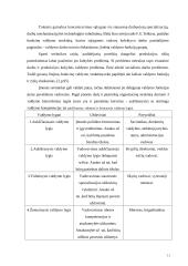 Vadovo bruožai ir vertybės 11 puslapis