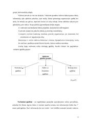 Vadovo bruožai ir vertybės 13 puslapis