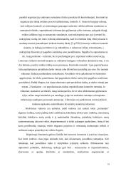 Vadovo bruožai ir vertybės 18 puslapis