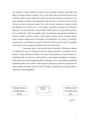 Vadovo bruožai ir vertybės 4 puslapis