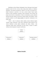 Vadovo bruožai ir vertybės 5 puslapis