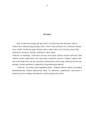 Vadovo funkcijos ir veikla organizacijoje 11 puslapis