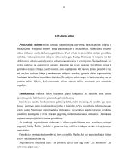 Vadovo funkcijos ir veikla organizacijoje 6 puslapis