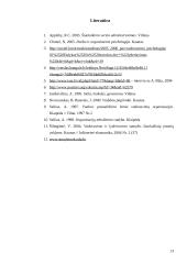 Vadovo ir lyderio palyginimas 12 puslapis