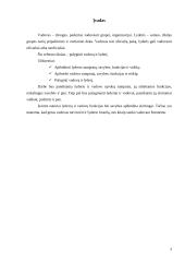 Vadovo ir lyderio palyginimas 2 puslapis