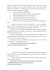 Vadovo ir lyderio palyginimas 4 puslapis