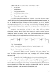 Vadovo ir lyderio palyginimas 5 puslapis