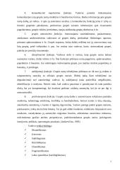 Vadovo ir lyderio palyginimas 6 puslapis