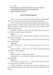 Vadovo ir lyderio palyginimas 7 puslapis