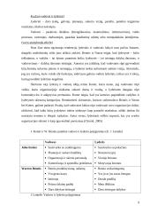 Vadovo ir lyderio palyginimas 8 puslapis