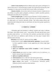 Vadovo ir lyderio problema organizacijoje 9 puslapis