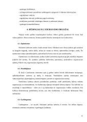 Vadovo ir lyderio problema organizacijoje 10 puslapis