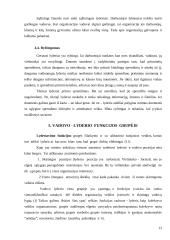 Vadovo ir lyderio problema organizacijoje 11 puslapis