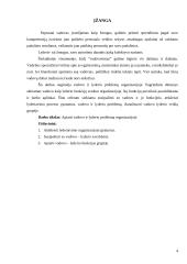 Vadovo ir lyderio problema organizacijoje 2 puslapis