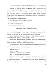 Vadovo ir lyderio problema organizacijoje 6 puslapis