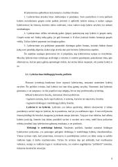 Vadovo ir lyderio problema organizacijoje 7 puslapis