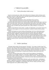 Vadovo įtaka organizacijos sėkmei 2 puslapis
