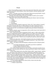 Vadovo įtaka organizacijos sėkmei 14 puslapis