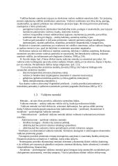 Vadovo įtaka organizacijos sėkmei 3 puslapis