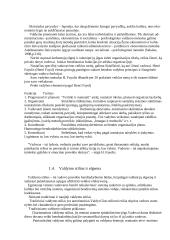Vadovo įtaka organizacijos sėkmei 4 puslapis